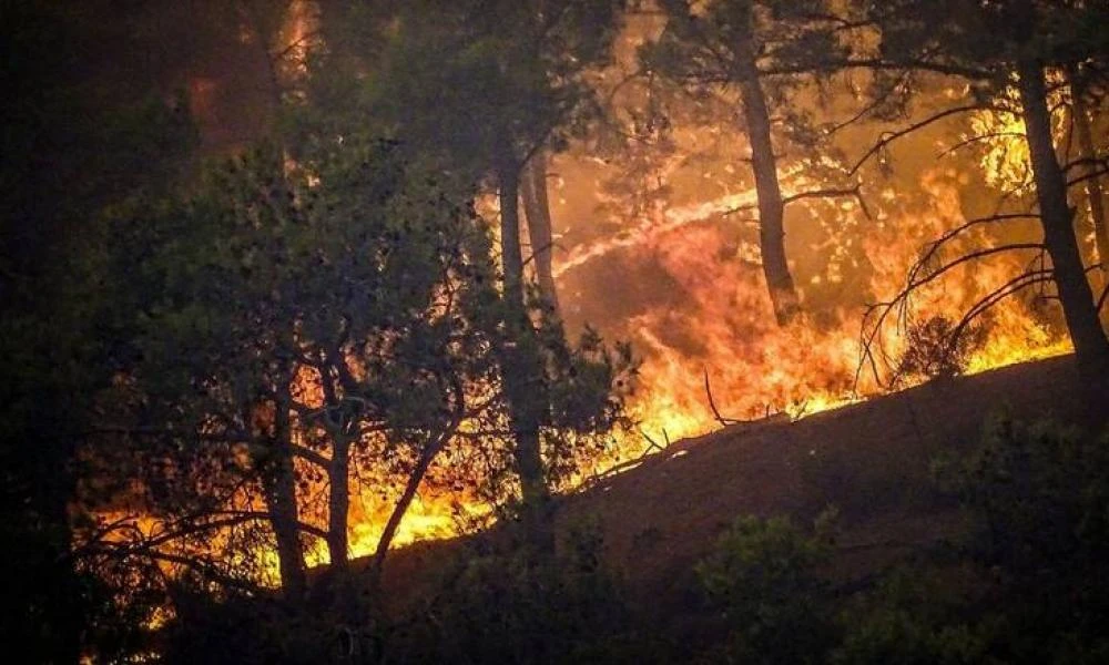 Φωτιά τώρα στον Αυλώνα: Νέο μέτωπο στην Πάρνηθα - Καταδίωξη οχήματος για εμπρησμό- 60 τραυματίες πυροσβέστες από τις πυρκαγιές